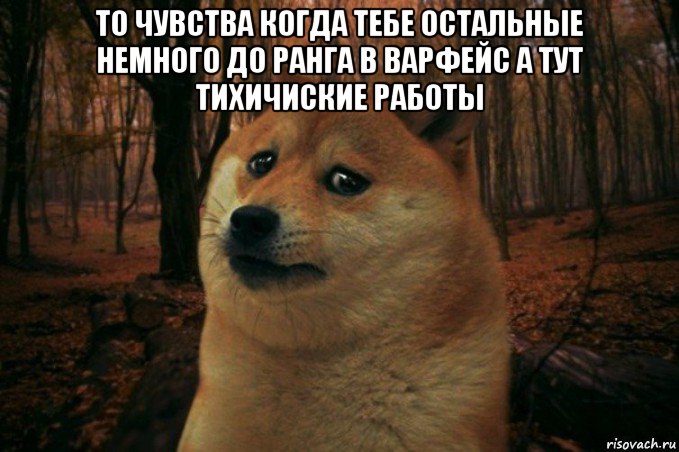 то чувства когда тебе остальные немного до ранга в варфейс а тут тихичиские работы , Мем SAD DOGE