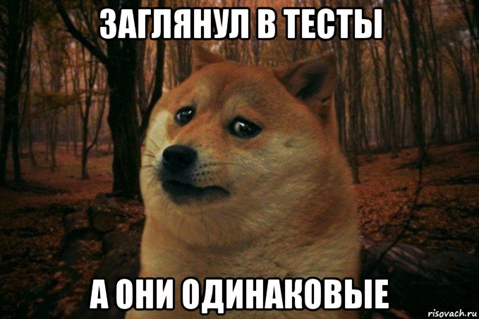 заглянул в тесты а они одинаковые, Мем SAD DOGE