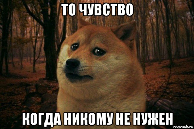 то чувство когда никому не нужен, Мем SAD DOGE