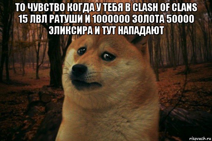 то чувство когда у тебя в clash of clans 15 лвл ратуши и 1000000 золота 50000 эликсира и тут нападают , Мем SAD DOGE