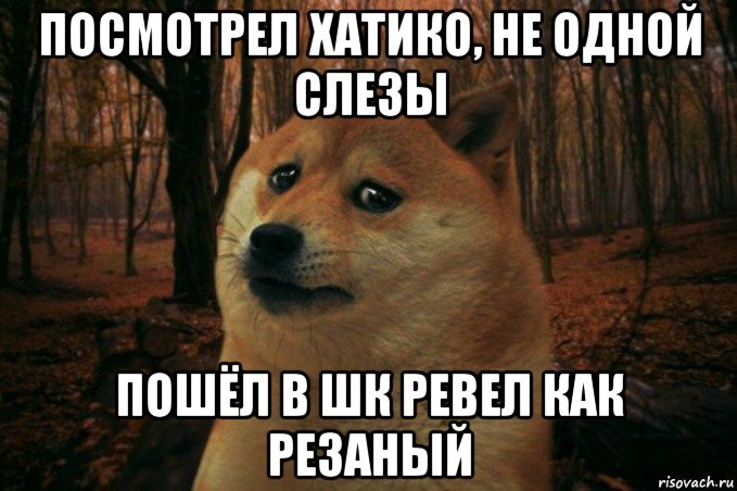 посмотрел хатико, не одной слезы пошёл в шк ревел как резаный, Мем SAD DOGE