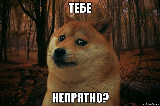 тебе непрятно?, Мем SAD DOGE