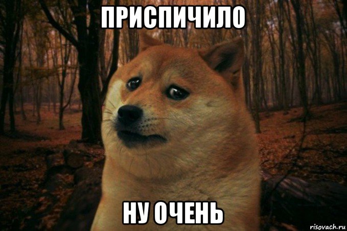 приспичило ну очень, Мем SAD DOGE