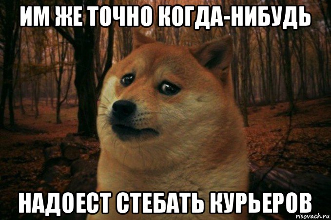 им же точно когда-нибудь надоест стебать курьеров, Мем SAD DOGE