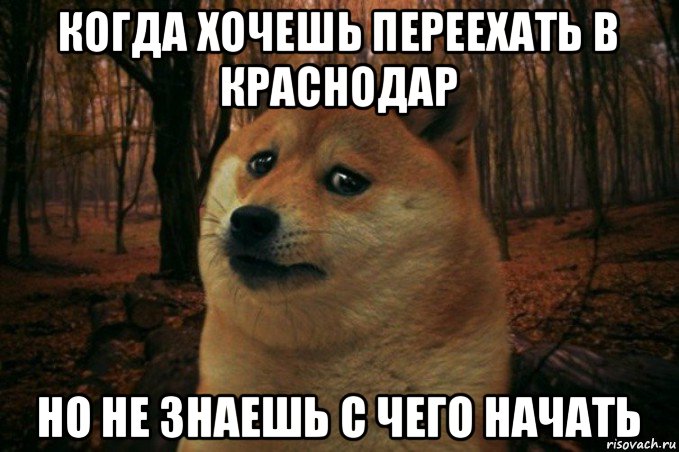 когда хочешь переехать в краснодар но не знаешь с чего начать, Мем SAD DOGE