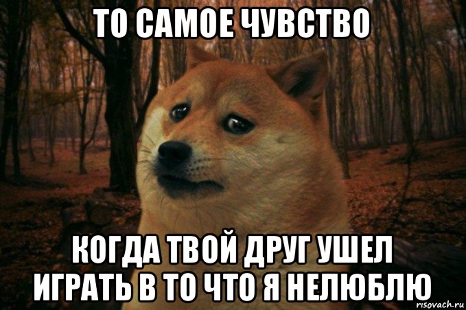 то самое чувство когда твой друг ушел играть в то что я нелюблю, Мем SAD DOGE