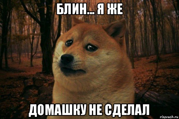 блин... я же домашку не сделал, Мем SAD DOGE