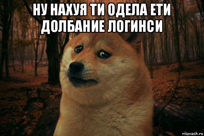 ну нахуя ти одела ети долбание логинси , Мем SAD DOGE