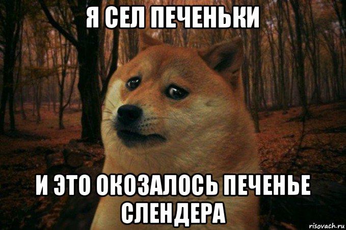 я сел печеньки и это окозалось печенье слендера, Мем SAD DOGE