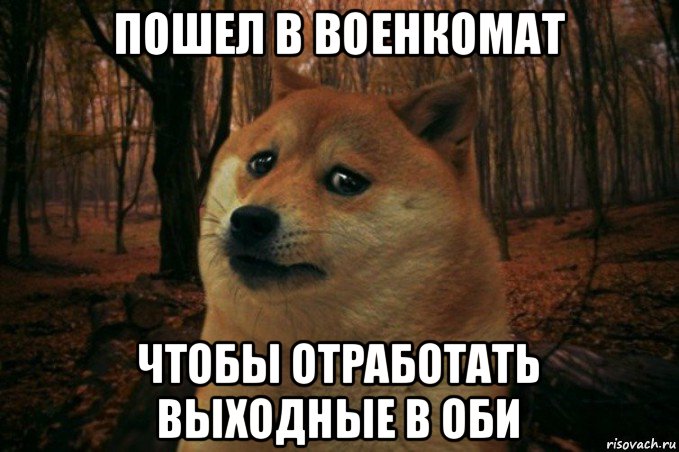 пошел в военкомат чтобы отработать выходные в оби, Мем SAD DOGE