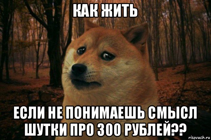 как жить если не понимаешь смысл шутки про 300 рублей??, Мем SAD DOGE