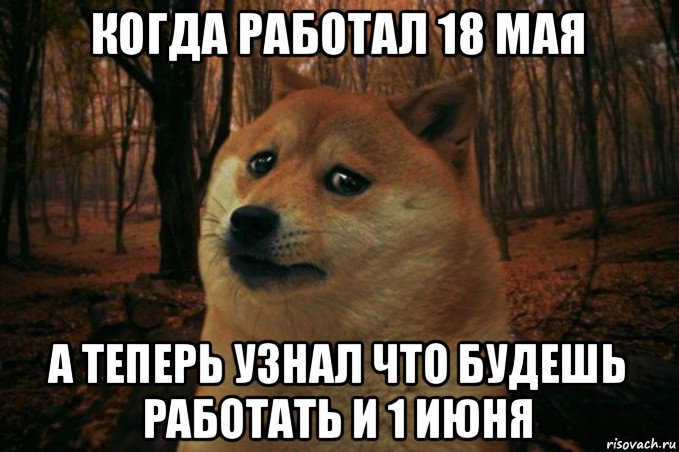 когда работал 18 мая а теперь узнал что будешь работать и 1 июня, Мем SAD DOGE