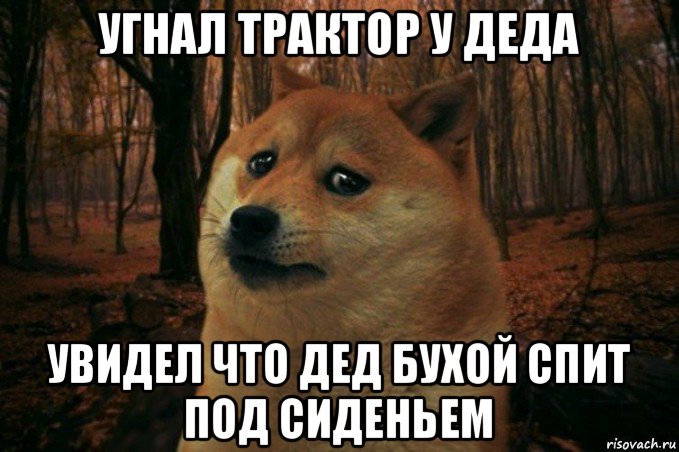 угнал трактор у деда увидел что дед бухой спит под сиденьем, Мем SAD DOGE