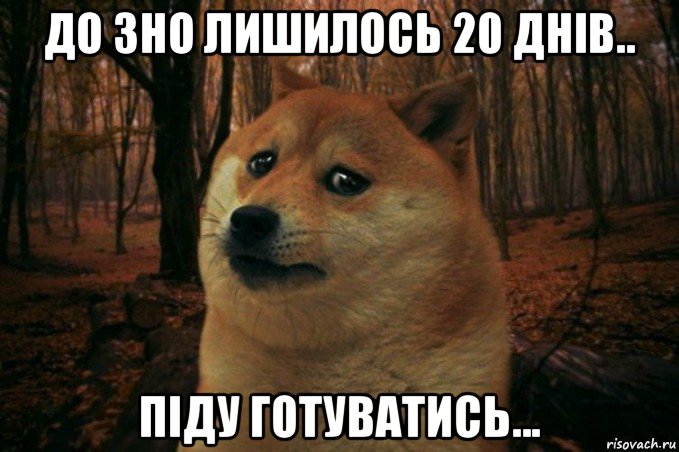 до зно лишилось 20 днів.. піду готуватись..., Мем SAD DOGE