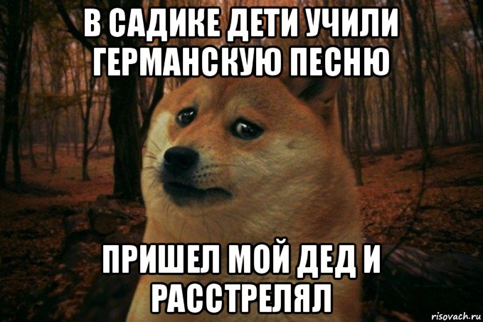 в садике дети учили германскую песню пришел мой дед и расстрелял, Мем SAD DOGE