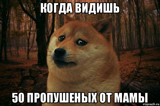 когда видишь 50 пропушеных от мамы, Мем SAD DOGE