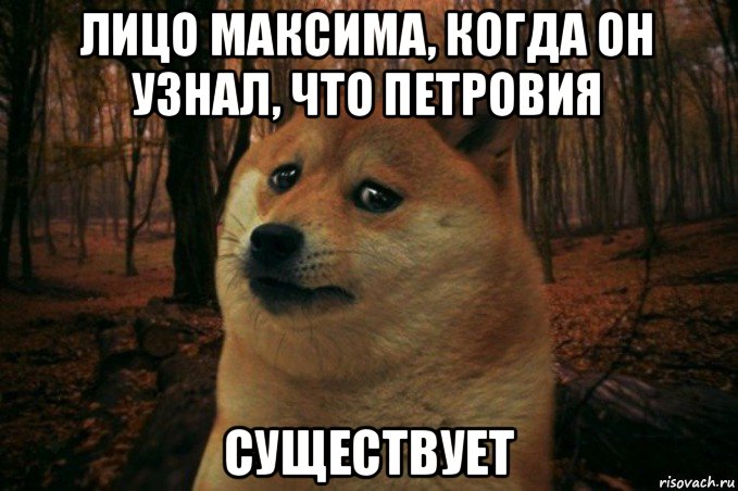 лицо максима, когда он узнал, что петровия существует, Мем SAD DOGE