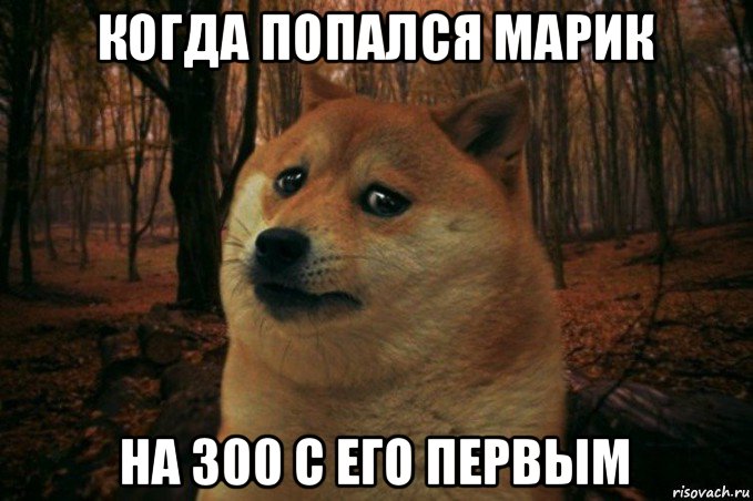 когда попался марик на 300 с его первым, Мем SAD DOGE