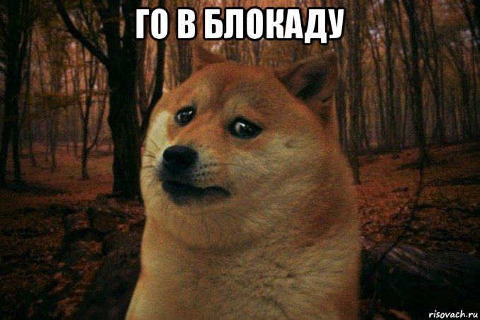 го в блокаду , Мем SAD DOGE