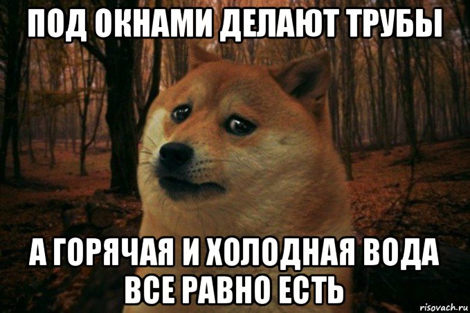 под окнами делают трубы а горячая и холодная вода все равно есть, Мем SAD DOGE