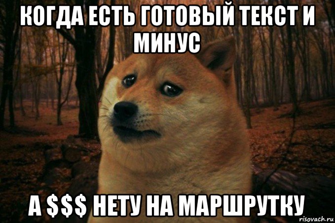 когда есть готовый текст и минус а $$$ нету на маршрутку, Мем SAD DOGE