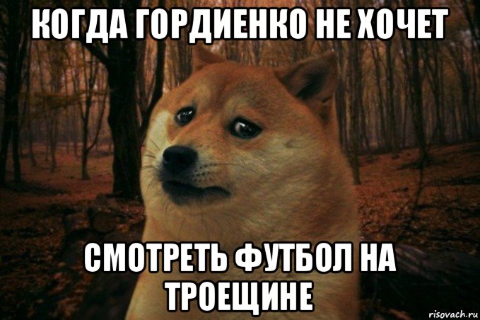 когда гордиенко не хочет смотреть футбол на троещине, Мем SAD DOGE