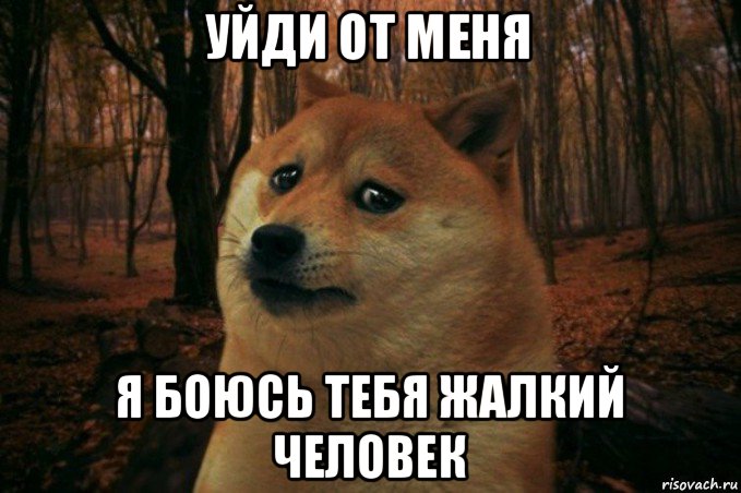 уйди от меня я боюсь тебя жалкий человек, Мем SAD DOGE