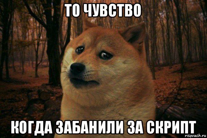 то чувство когда забанили за скрипт, Мем SAD DOGE