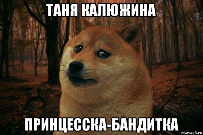 таня калюжина принцесска-бандитка, Мем SAD DOGE