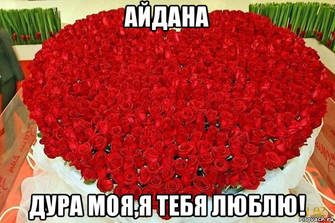 айдана дура моя,я тебя люблю!