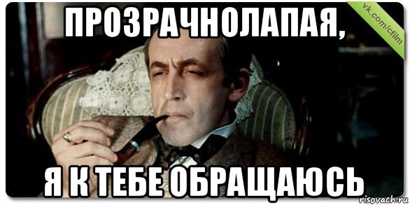 прозрачнолапая, я к тебе обращаюсь, Мем Шерлок
