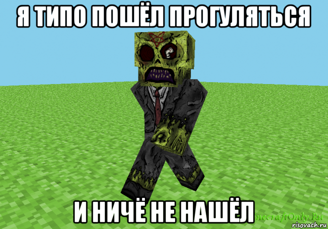 я типо пошёл прогуляться и ничё не нашёл, Мем Скин майнкрафта