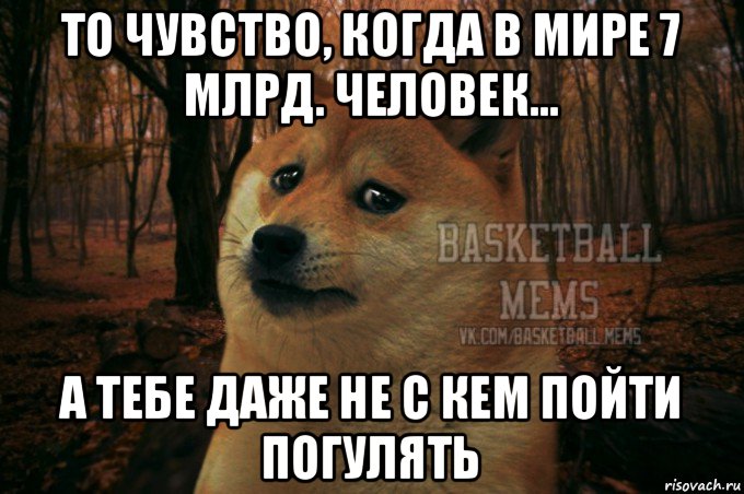 то чувство, когда в мире 7 млрд. человек... а тебе даже не с кем пойти погулять