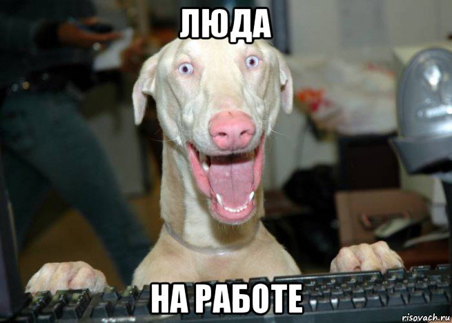 люда на работе