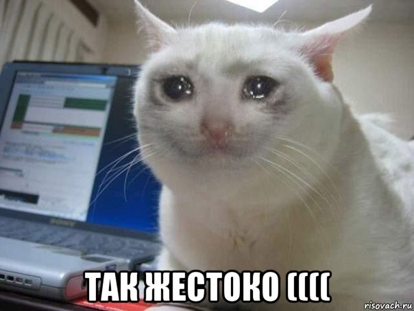  так жестоко ((((