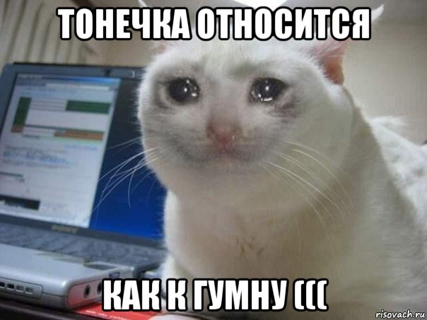 тонечка относится как к гумну (((