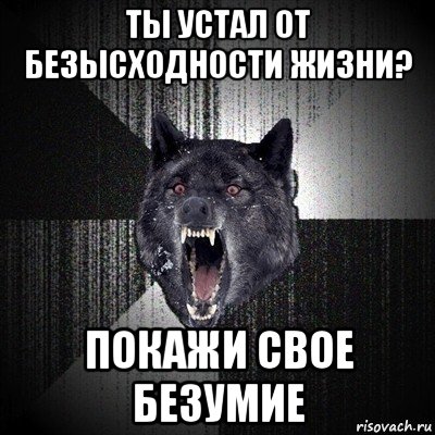 ты устал от безысходности жизни? покажи свое безумие, Мем Сумасшедший волк