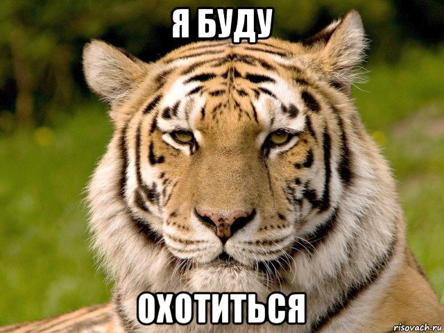 я буду охотиться