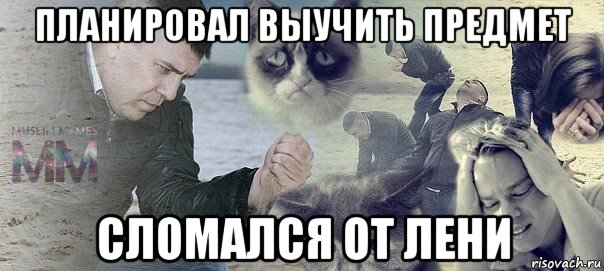 планировал выучить предмет сломался от лени
