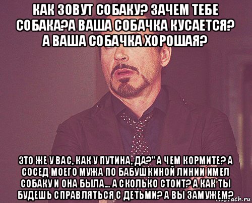 как зовут собаку? зачем тебе собака?а ваша собачка кусается? а ваша собачка хорошая? это же у вас, как у путина, да?" а чем кормите? а сосед моего мужа по бабушкиной линии имел собаку и она была... а сколько стоит? а как ты будешь справляться с детьми? а вы замужем?, Мем твое выражение лица