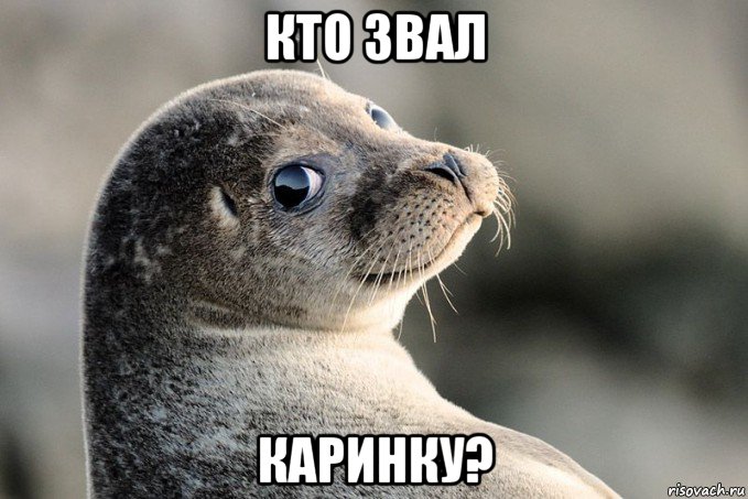 кто звал каринку?