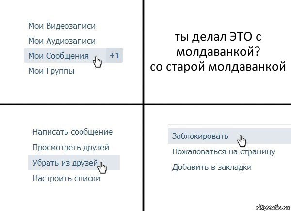 ты делал ЭТО с молдаванкой?
со старой молдаванкой, Комикс  Удалить из друзей