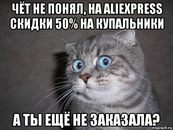 чёт не понял, на aliexpress скидки 50% на купальники а ты ещё не заказала?, Мем  удивлённый кот