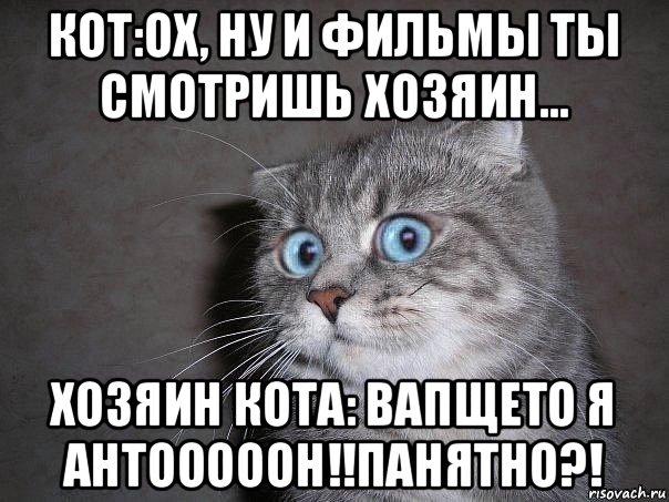 кот:ох, ну и фильмы ты смотришь хозяин... хозяин кота: вапщето я антооооон!!панятно?!, Мем  удивлённый кот