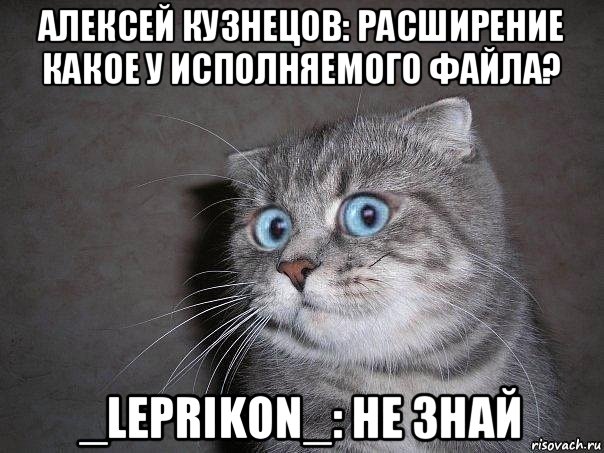 алексей кузнецов: расширение какое у исполняемого файла? _leprikon_: не знай, Мем  удивлённый кот