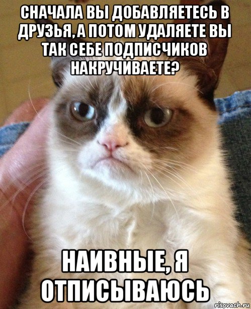 сначала вы добавляетесь в друзья, а потом удаляете вы так себе подписчиков накручиваете? наивные, я отписываюсь, Мем Угрюмый кот