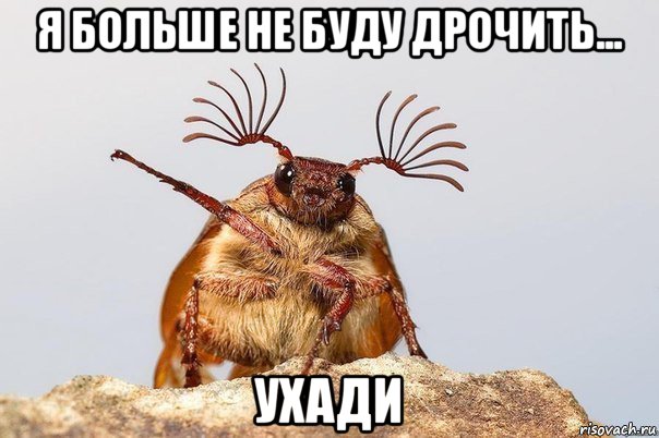 я больше не буду дрочить... ухади