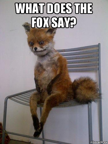 what does the fox say? , Мем Упоротая лиса