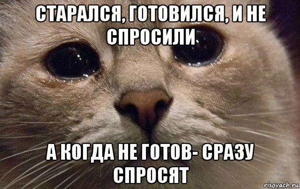 старался, готовился, и не спросили а когда не готов- сразу спросят, Мем   В мире грустит один котик