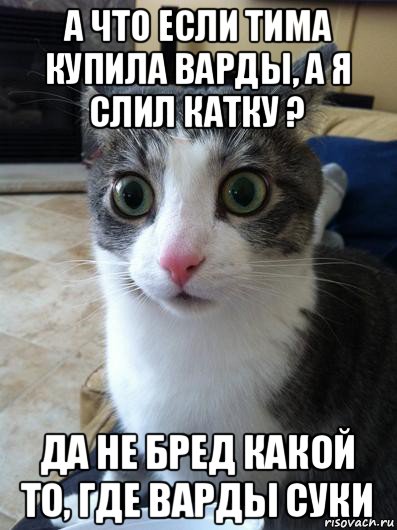 а что если тима купила варды, а я слил катку ? да не бред какой то, где варды суки